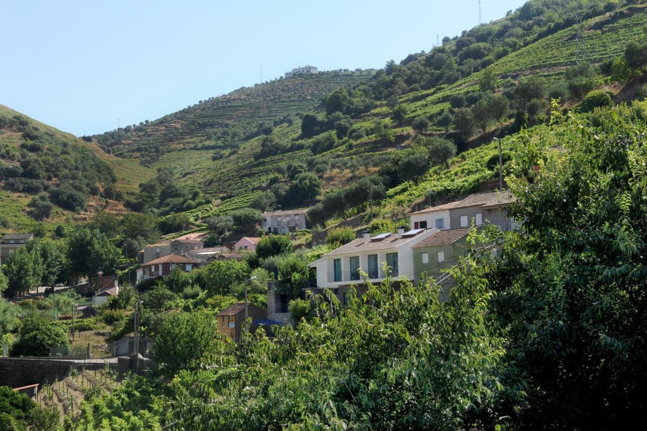 Douroxisto Lejlighedshotel Peso da Régua Eksteriør billede