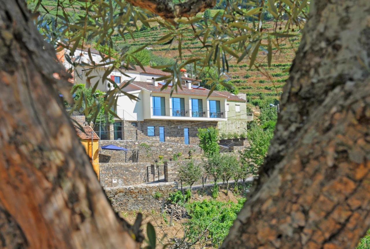 Douroxisto Lejlighedshotel Peso da Régua Eksteriør billede
