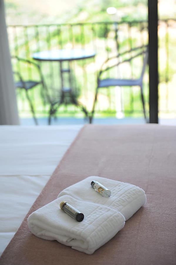 Douroxisto Lejlighedshotel Peso da Régua Eksteriør billede